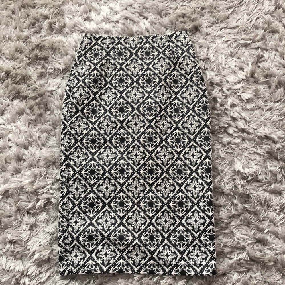 Zara Skirt